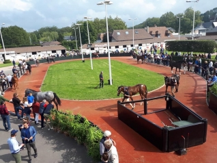 Vente de Yearlings à Deauville - 09/09 au 11/09